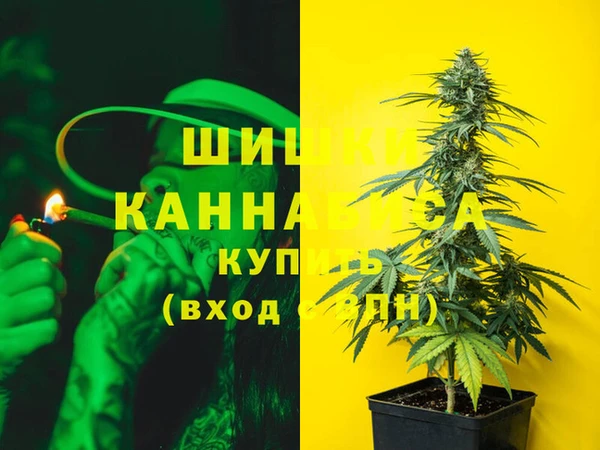 ГАЛЛЮЦИНОГЕННЫЕ ГРИБЫ Иннополис