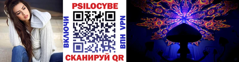 omg как войти  Люберцы  Псилоцибиновые грибы Psilocybe 
